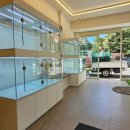 베베독 강아지분양 대구본점 이미지