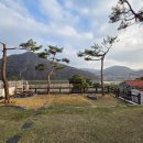 청벽거북 이미지