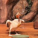 삼차농장 이미지