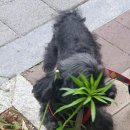해와달 마켓 후기🌞🌿