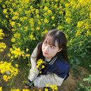 변하율 치어리더 인스타.jpg 이미지