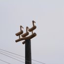 군북정비 이미지