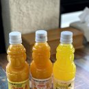 제주갈치한담 이미지