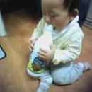 소화도