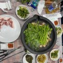 산호정