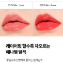 아떼 글레이즘 립밤스틱 6종 택 1 10,900원 무료배송 이미지