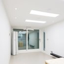 초원대림 이미지