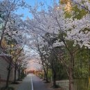 CPS센터