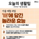 지금 먹기 딱 좋아요! 가을 제철 과일 ‘배’의 놀라운 효능 이미지