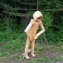 청옥산휴양림 이미지