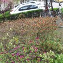 펜션스타디움 이미지