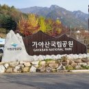 가야산등산로6코스 네이버블로그