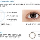 썸브라운 - 5627 | 썸브라운