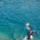 청기와민박 이미지