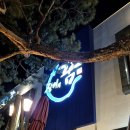 장어의 꿈 이미지