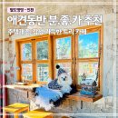 56 | 인천 애견동반 카페 비읍미음｜트리 포토존 있는 분위기 좋은 카페