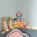 <운 필라테스> 원장님 개인레슨 회원님 후기♡, 자이로토닉 운동 소개