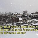 풍성식당 - 양천구 목동중앙북로7가길 43 | 풍성식당