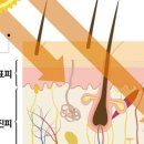 명상(주간) 이미지