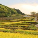 바다마을사람들 이미지
