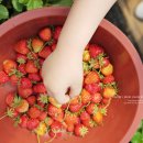 무내미농장 이미지