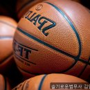 강해법무사이용기사무소 | 채무통합 실직적 경험 공유해요, 슬기로운법무사 김일환사무소