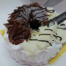 핑코애견 이미지