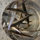 동막골주차장 이미지