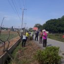 아산마을진입로 이미지