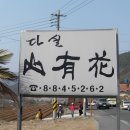 다실산유화