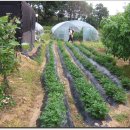 김동기농장 이미지
