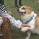 한결산업동물병원 이미지