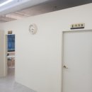 김지순애견미용학원 이미지