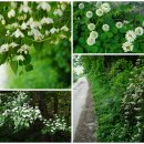 부귀면행정복지센터 이미지