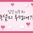 포우먼 산부인과
