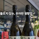 데일리와인 평택점 | 평택 와인샵 추천| 가볍지만 균형 잡힌 스파클링｜베르비니 프로세코
