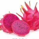 제주특별자치도 농업기술원 이미지