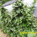 선산대로10-10 이미지