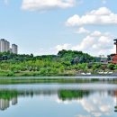 수원-2011 이미지