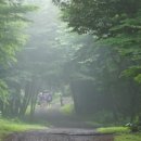 남원읍-16 네이버블로그