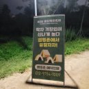 2022 송도맥주축제 출연진 라인업 입장료 주차 사전예약존 등 기본정보 후기
