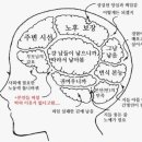 삼시세끼밥상 이미지