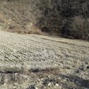 소태면사무소 이미지