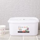 신선4호 이미지