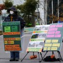 진달래산천 이미지