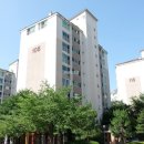성호샤인힐즈 네이버블로그