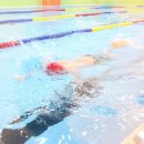 스위밍키즈 이미지