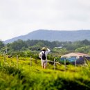 제주 올레길 3코스 A 이미지