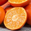 산해농장 이미지