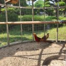 금계로1 이미지